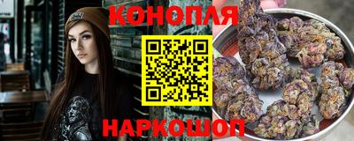 гидра Лесосибирск